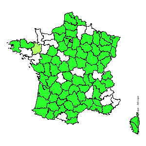 Chorologique de la flore de France Chorologique de la flore de France