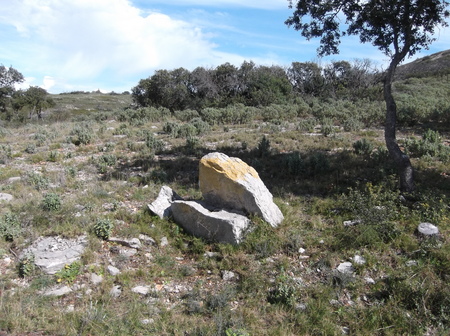 Menhir de la Pierre Plantée Menhir de la Pierre Plantée