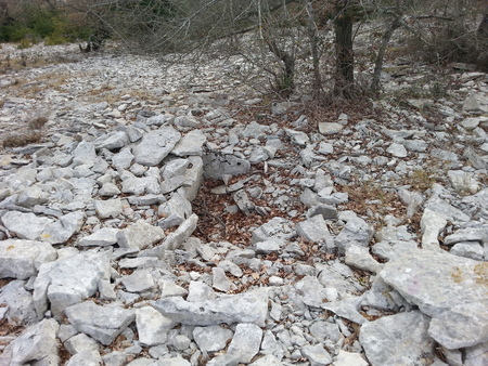 Tumulus de la nécropole de Ricome Tumulus de la nécropole de Ricome