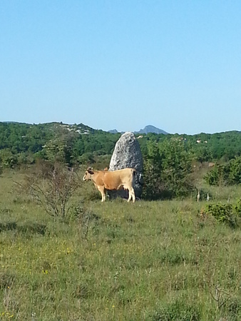 Menhirs du Coulet Menhirs du Coulet