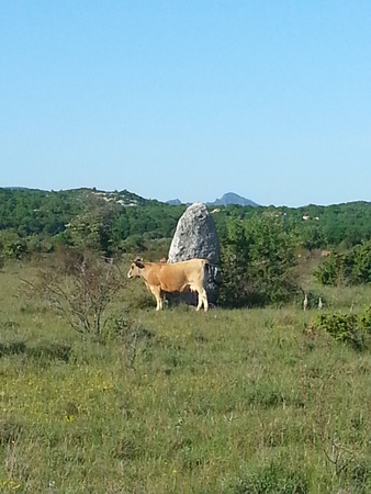 Menhirs du Coulet