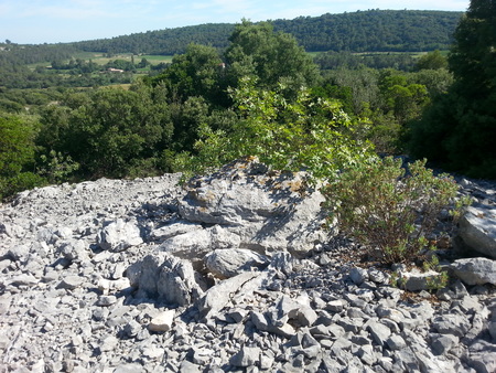 Dolmen du Mas de Perri