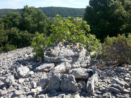 Dolmen du Mas de Perri