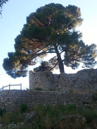 Château des Guilhem