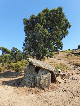 Dolmen del Cap de l'Home Dolmen del Cap de l'Home