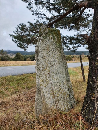 Menhir de Pla del Bosc Menhir de Pla del Bosc