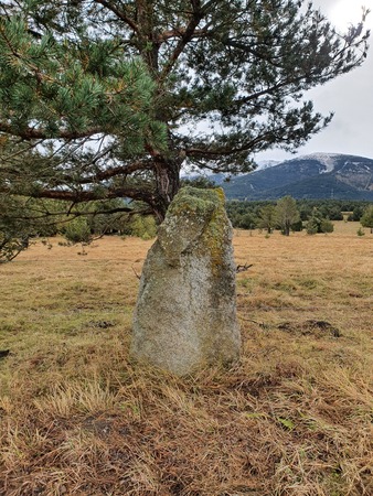 Menhir de Pla del Bosc Menhir de Pla del Bosc