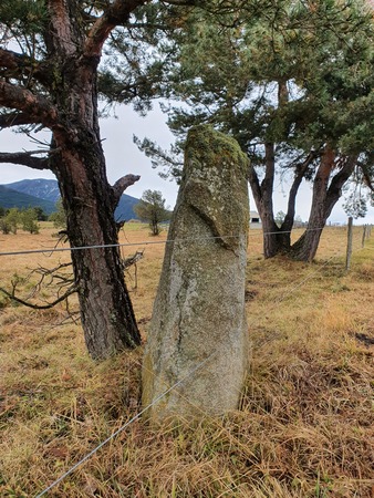 Menhir de Pla del Bosc Menhir de Pla del Bosc