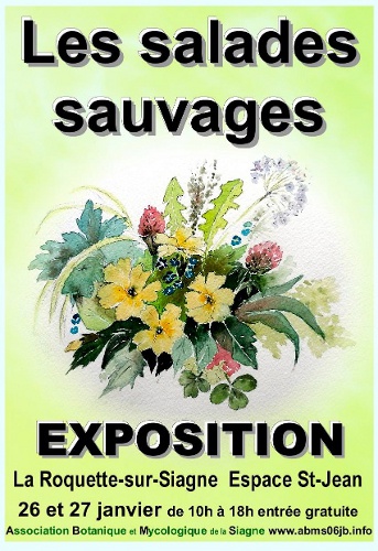 Exposition Salades sauvages - La Roquette-sur-Siagne