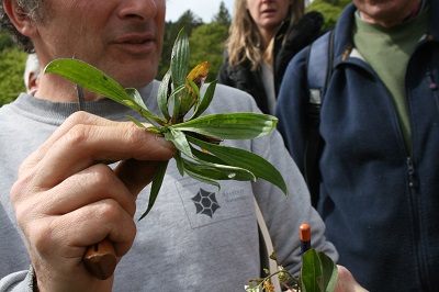      Accueil Agenda LES SALADES SAUVAGES DE MONTAGNE   LES SALADES SAUVAGES DE MONTAGNE Débat / Conférence         Partager     A-     A     A+     ajouter à ma selection  Les salades sauvages de montagne