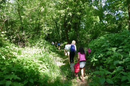 Stage Chercheurs de nature