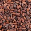 Cacao