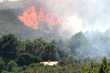 Feu de garrigue