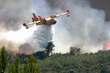 Canadair 