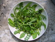 Mesclun