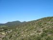 Vue sur la garrigue