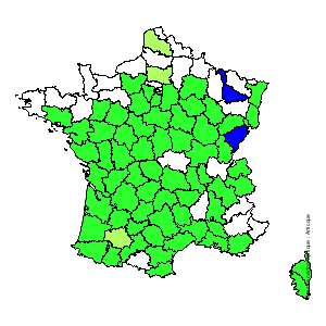 Chorologique de la flore de France