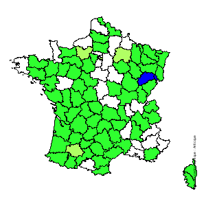 Chorologique de la flore de France