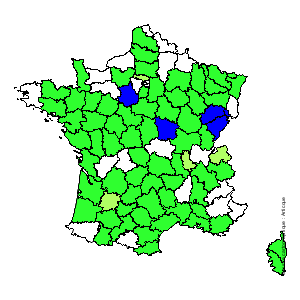 Chorologique de la flore de France