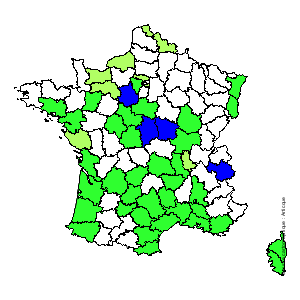 Chorologique de la flore de France