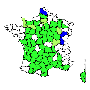 Chorologique de la flore de France