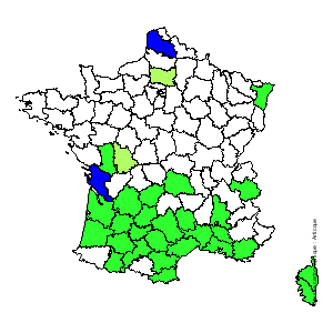 Chorologique de la flore de France