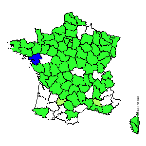 Chorologique de la flore de France Chorologique de la flore de France