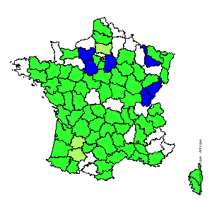 Chorologique de la flore de France