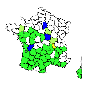 Chorologique de la flore de France