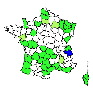 Chorologique de la flore de France