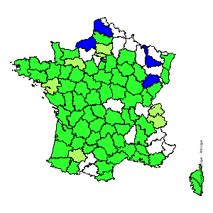 Chorologique de la flore de France