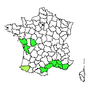 Chorologique de la flore de France