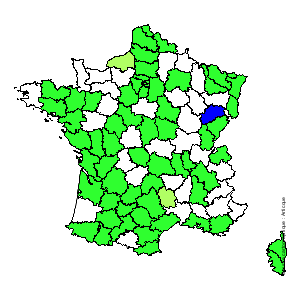 Chorologique de la flore de France