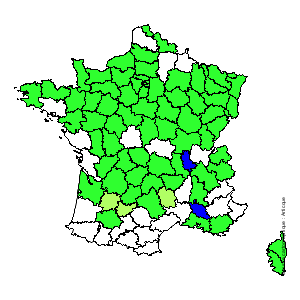 Chorologique de la flore de France