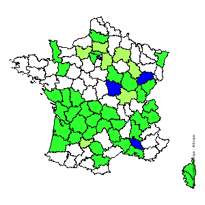 Chorologique de la flore de France