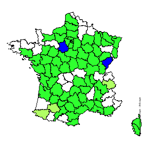 Chorologique de la flore de France