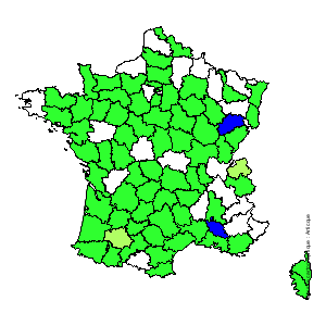 Chorologique de la flore de France