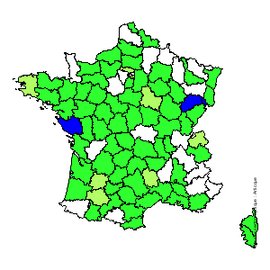 Chorologique de la flore de France