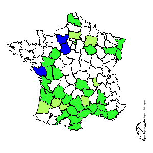 Chorologique de la flore de France