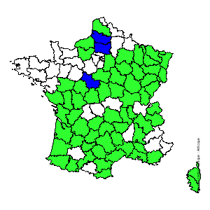 Chorologique de la flore de France