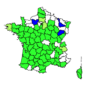 Chorologique de la flore de France