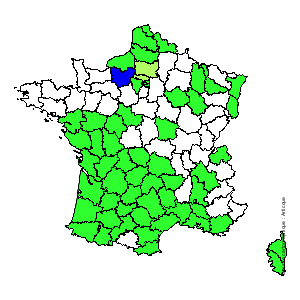 Chorologique de la flore de France