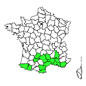 Chorologique de la flore de France Chorologique de la flore de France