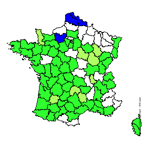 Chorologique de la flore de France