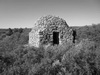 Dolmens du Mas Reynard