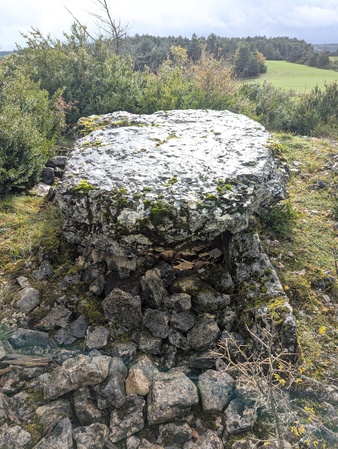 Dolmen de Sermeillets