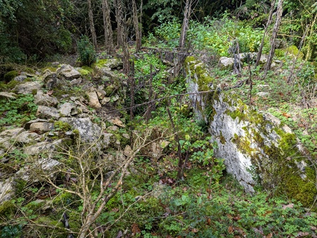 Dolmen de Montalies