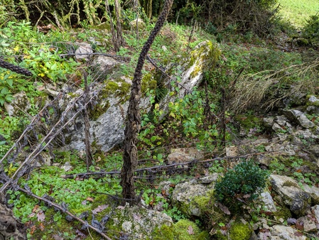 Dolmen de Montalies