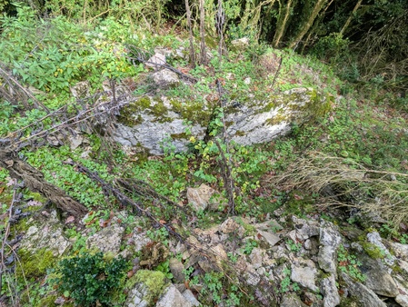 Dolmen de Montalies