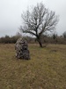 Menhir de Chourade